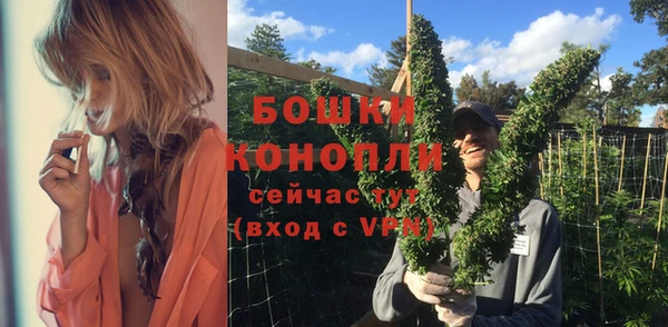 прущие крисы Богданович