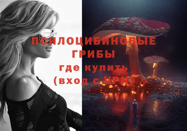 винт Богородицк