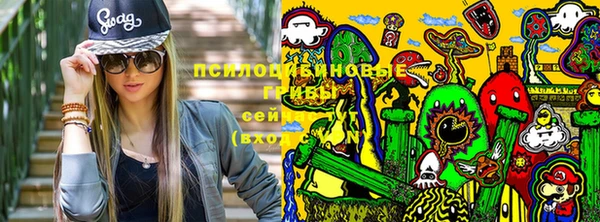 прущие крисы Богданович